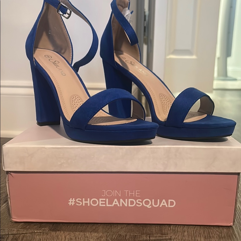 Elegant Blue Heels by